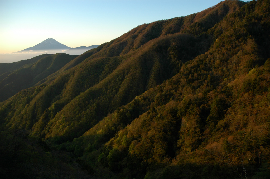 66309af7370b5fe49c5aaaec34970a4d - 【早朝がベストタイミング】朝日を浴びる山脈と富士山を撮ってみた！