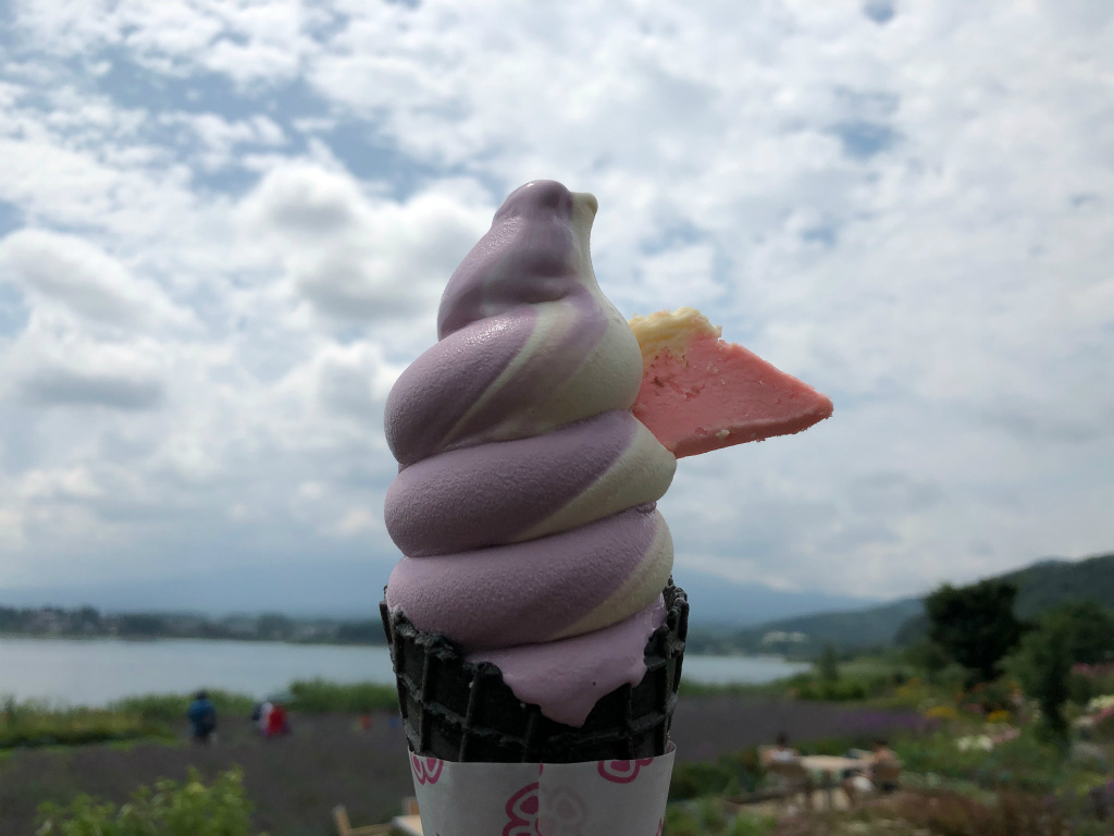 IMG 2762 - 河口湖で撮影した絶景の富士山写真ギャラリー