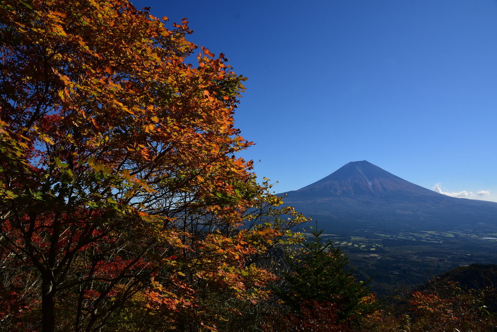38d86b62fcccfe1b1c153b345b20c567 1024x683 - 静岡県内で撮影した富士山写真ギャラリー